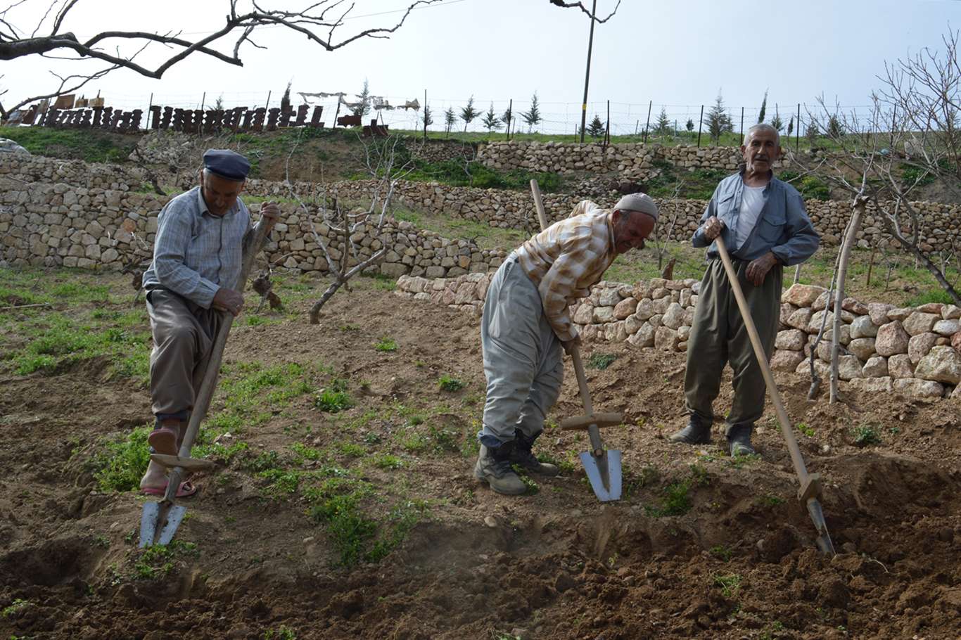 75 yaşındaki arkadaşlarına toprağı bellemek için destek oldular 75 yaşındaki arkadaşlarına toprağı bellemek için destek oldular